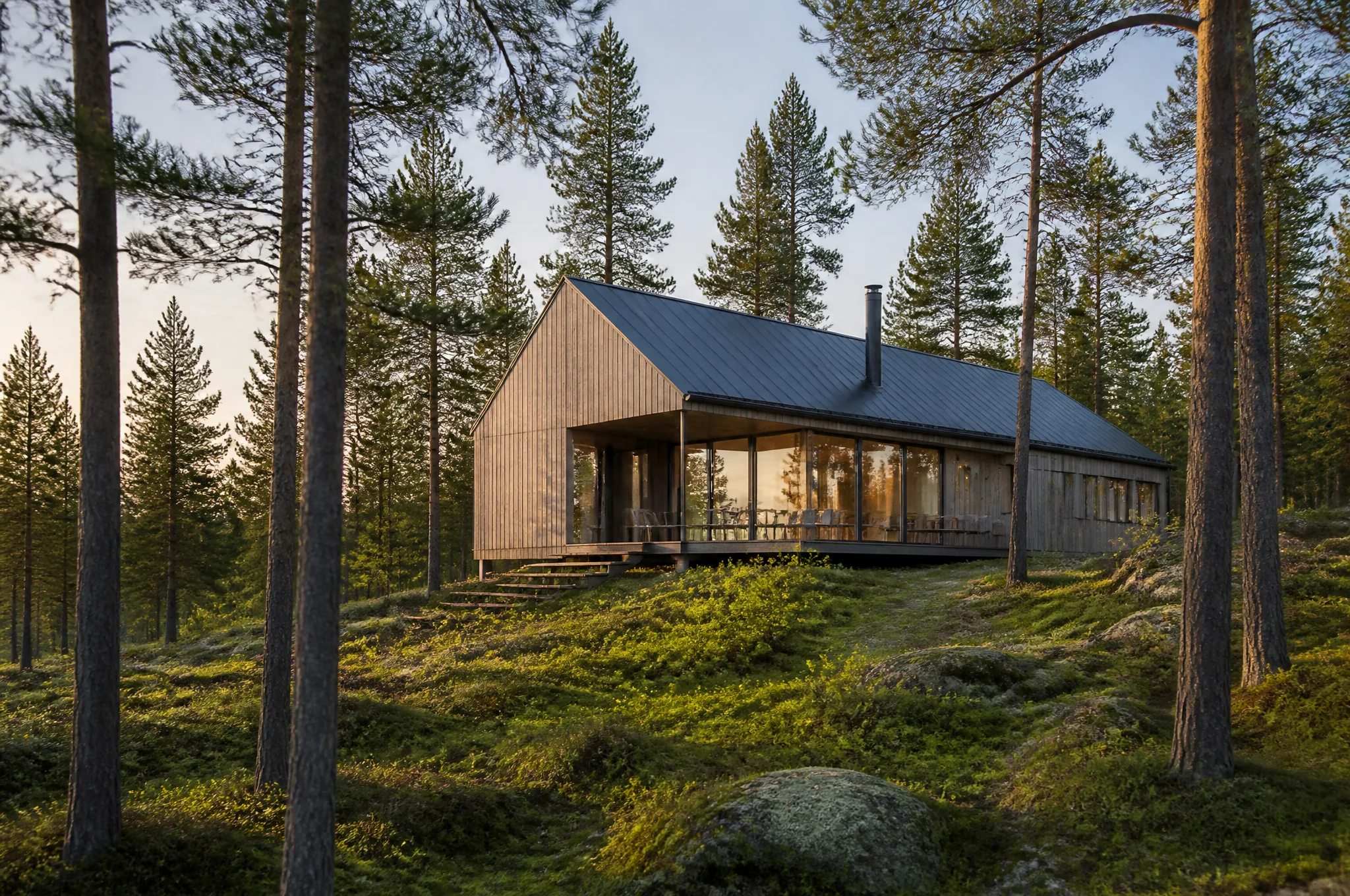 House in a forest